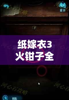 纸嫁衣3火钳子全面攻略，资源管理技巧、高效利用策略与价值最大化指南