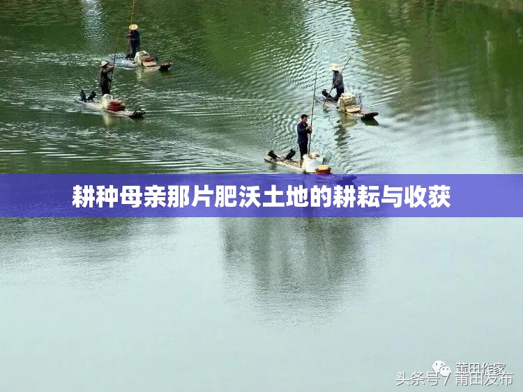 耕种母亲那片肥沃土地的耕耘与收获