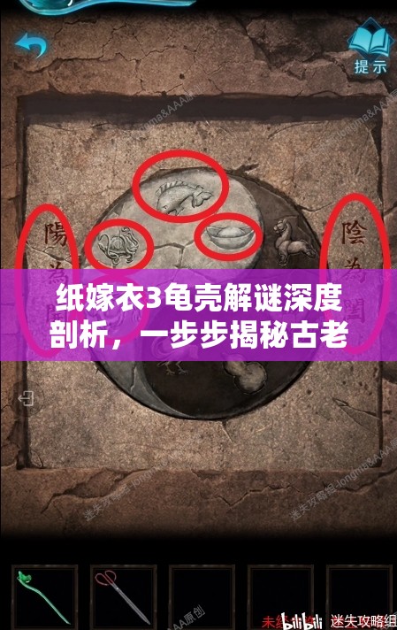 纸嫁衣3龟壳解谜深度剖析，一步步揭秘古老机关背后的神秘面纱