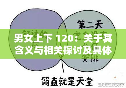 男女上下 120：关于其含义与相关探讨及具体分析