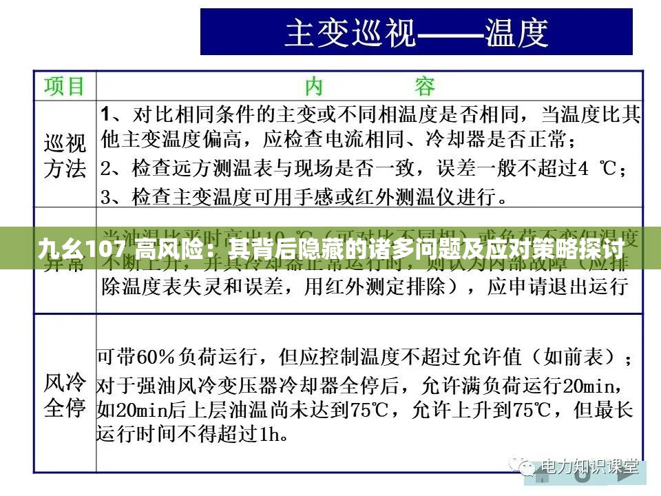 九幺107 高风险：其背后隐藏的诸多问题及应对策略探讨