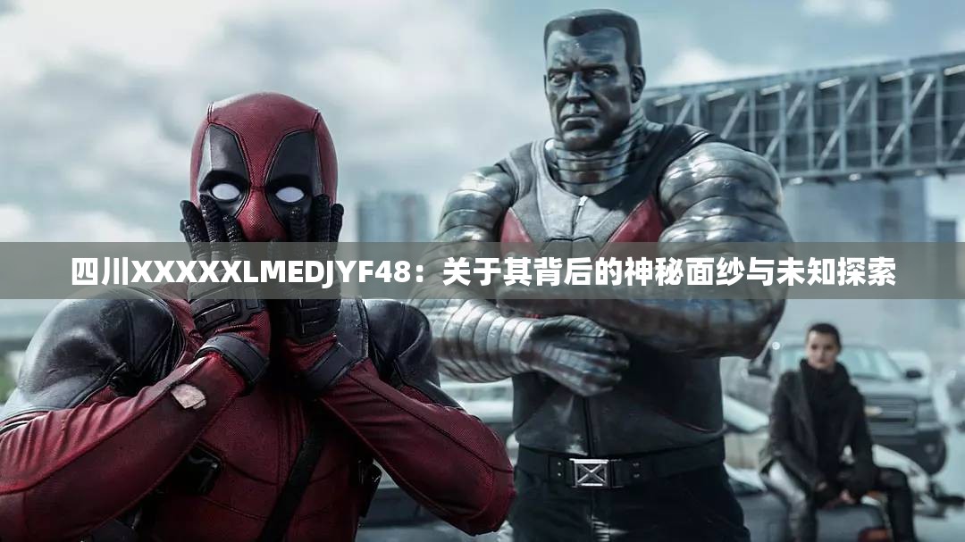 四川XXXXXLMEDJYF48：关于其背后的神秘面纱与未知探索
