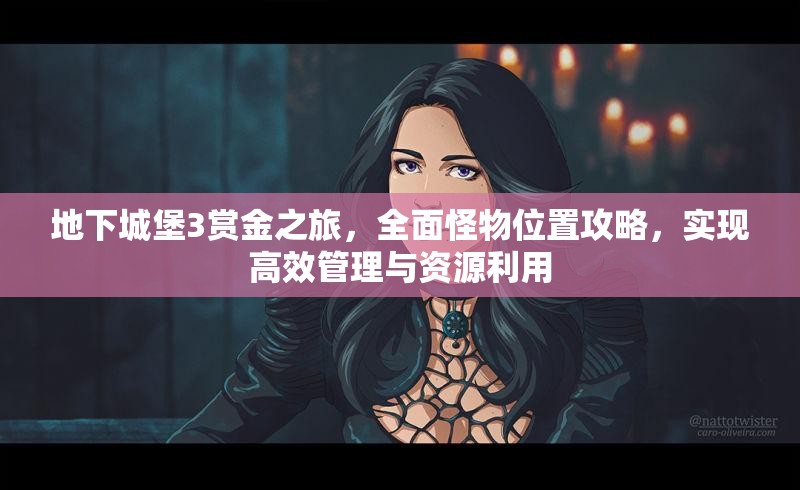 地下城堡3赏金之旅，全面怪物位置攻略，实现高效管理与资源利用