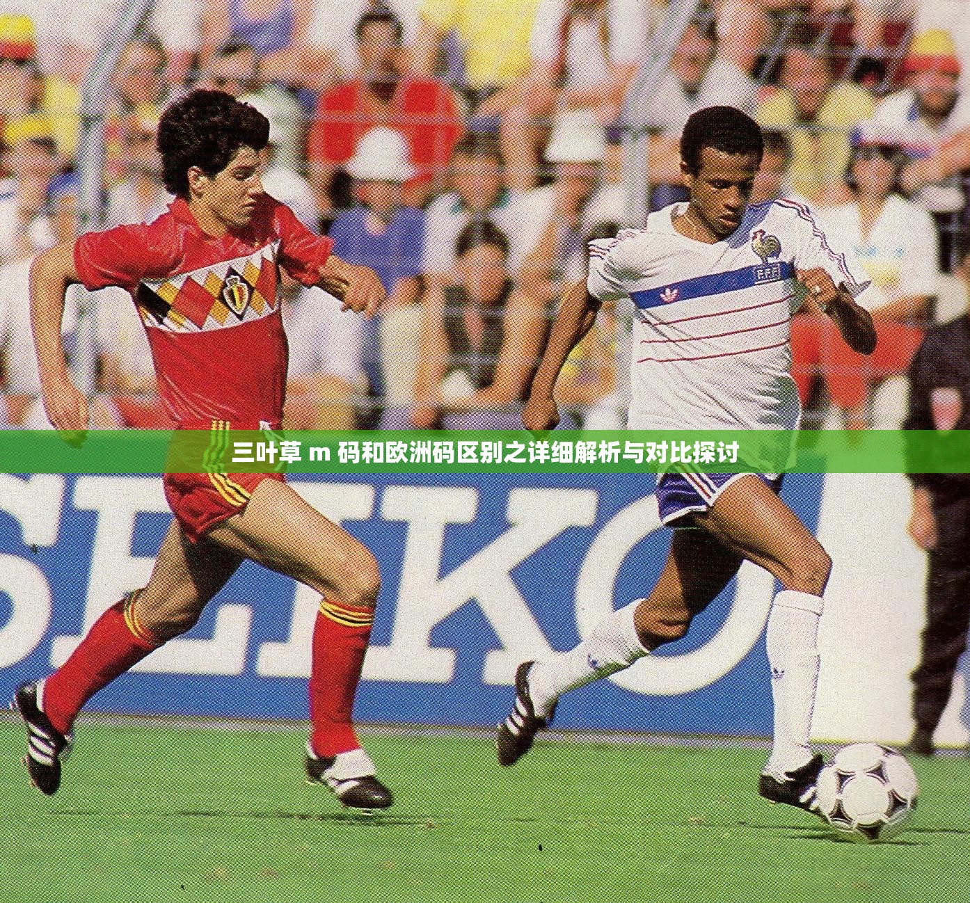 三叶草 m 码和欧洲码区别之详细解析与对比探讨