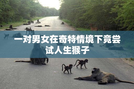 一对男女在奇特情境下竟尝试人生猴子