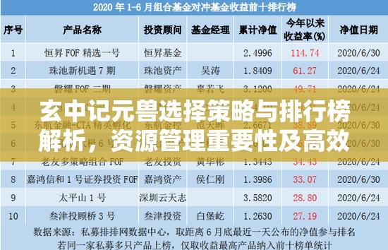 玄中记元兽选择策略与排行榜解析，资源管理重要性及高效利用实战技巧