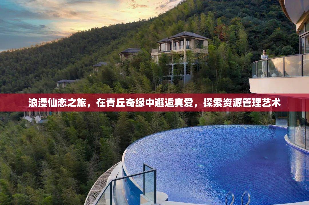 浪漫仙恋之旅，在青丘奇缘中邂逅真爱，探索资源管理艺术