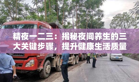 精夜一二三：揭秘夜间养生的三大关键步骤，提升健康生活质量