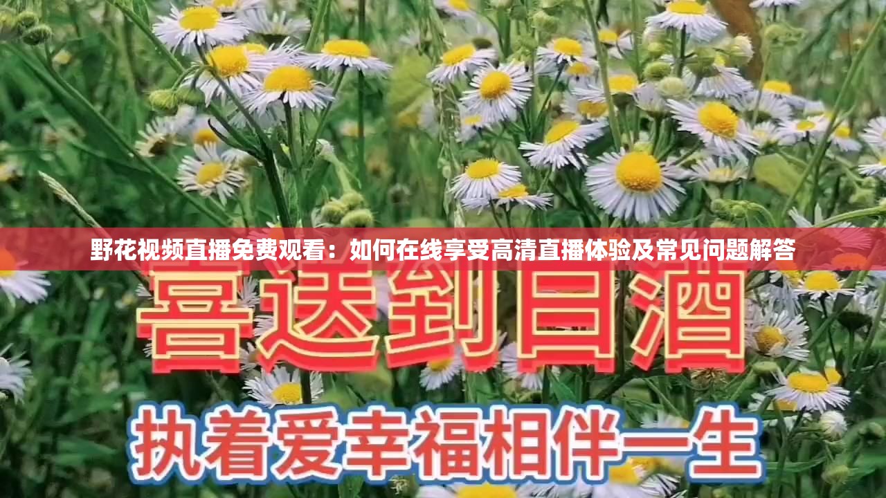 野花视频直播免费观看：如何在线享受高清直播体验及常见问题解答