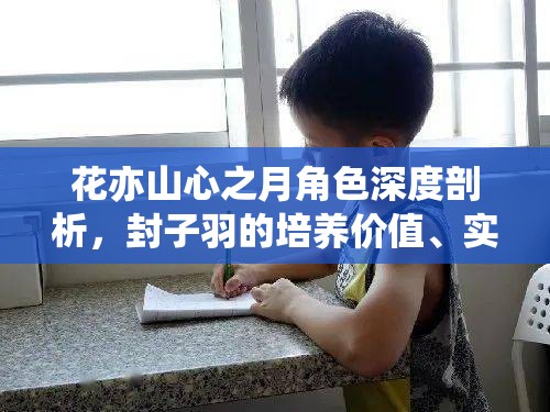 花亦山心之月角色深度剖析，封子羽的培养价值、实用性及资源管理策略