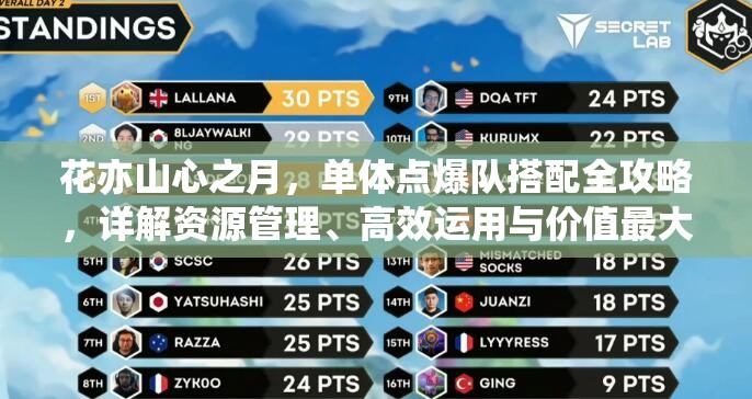 花亦山心之月，单体点爆队搭配全攻略，详解资源管理、高效运用与价值最大化策略