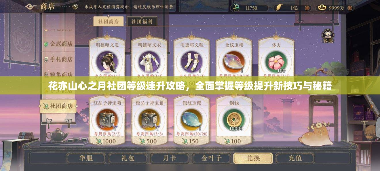 花亦山心之月社团等级速升攻略，全面掌握等级提升新技巧与秘籍