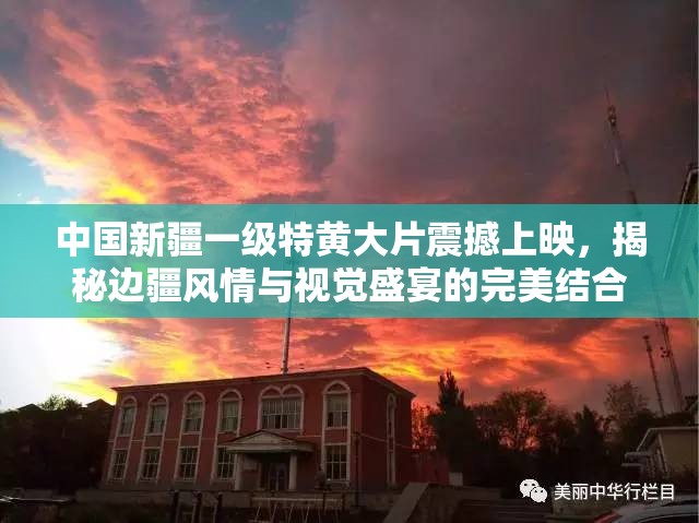中国新疆一级特黄大片震撼上映，揭秘边疆风情与视觉盛宴的完美结合