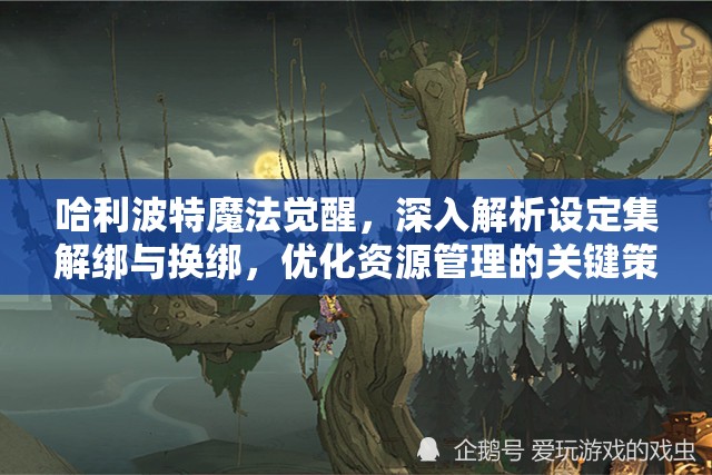 哈利波特魔法觉醒，深入解析设定集解绑与换绑，优化资源管理的关键策略