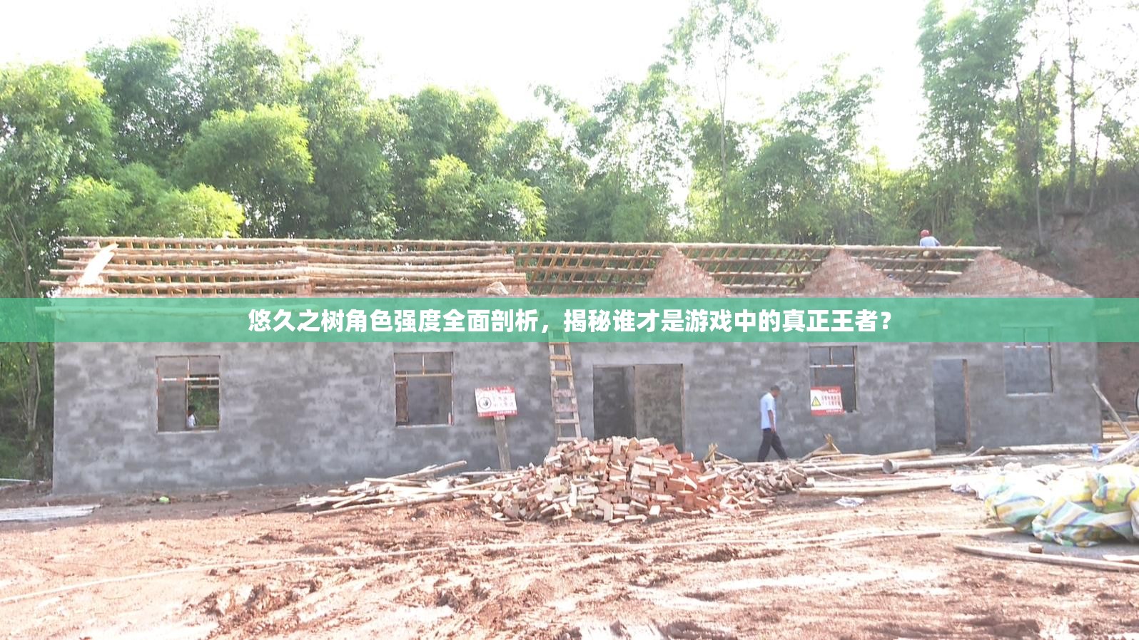 悠久之树角色强度全面剖析，揭秘谁才是游戏中的真正王者？