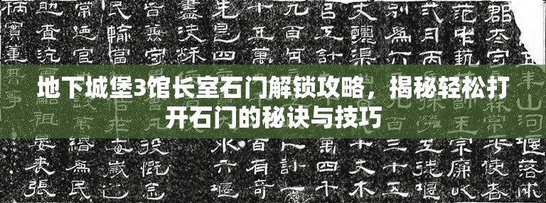 地下城堡3馆长室石门解锁攻略，揭秘轻松打开石门的秘诀与技巧