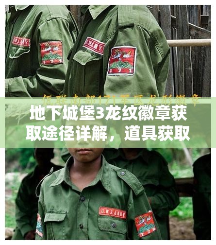 地下城堡3龙纹徽章获取途径详解，道具获取攻略全面解析