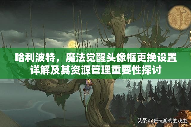 哈利波特，魔法觉醒头像框更换设置详解及其资源管理重要性探讨