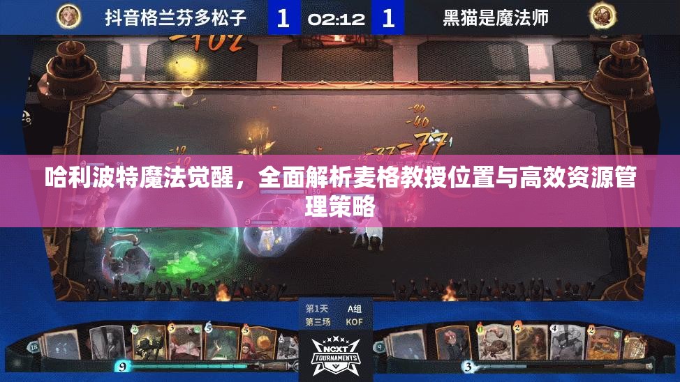 哈利波特魔法觉醒，全面解析麦格教授位置与高效资源管理策略