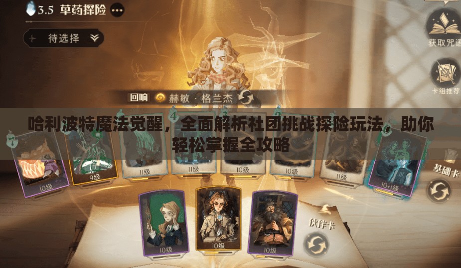 哈利波特魔法觉醒，全面解析社团挑战探险玩法，助你轻松掌握全攻略