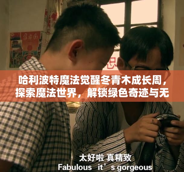 哈利波特魔法觉醒冬青木成长周，探索魔法世界，解锁绿色奇迹与无限可能