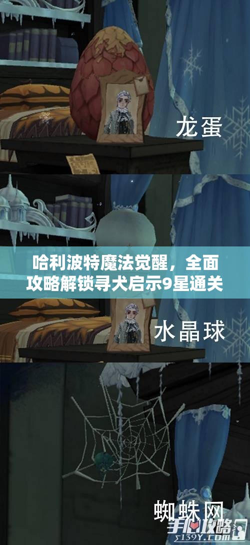 哈利波特魔法觉醒，全面攻略解锁寻犬启示9星通关秘籍