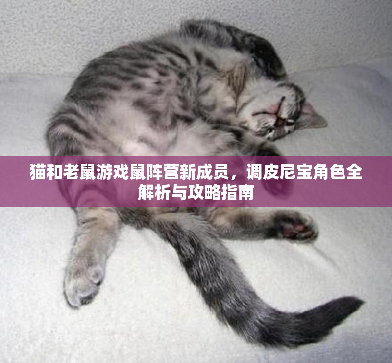 猫和老鼠游戏鼠阵营新成员，调皮尼宝角色全解析与攻略指南