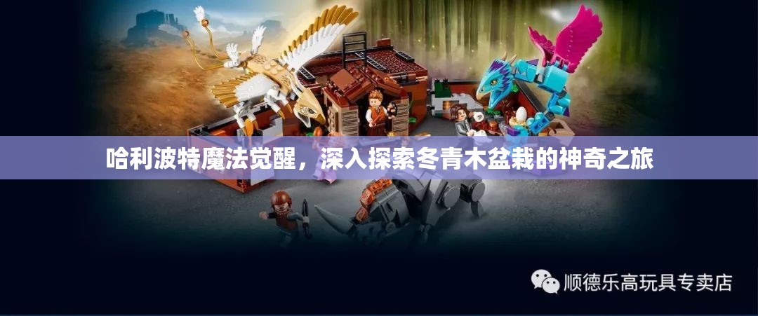 哈利波特魔法觉醒，深入探索冬青木盆栽的神奇之旅