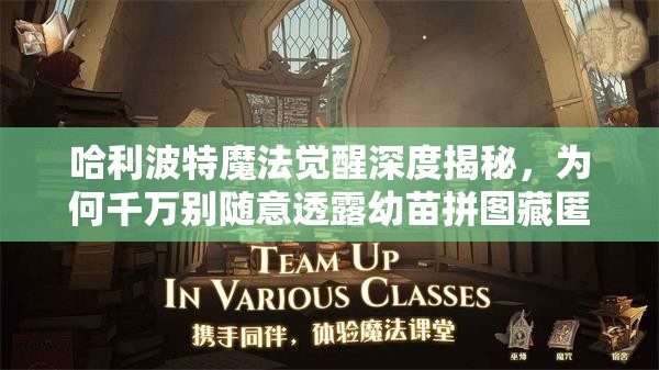 哈利波特魔法觉醒深度揭秘，为何千万别随意透露幼苗拼图藏匿位置