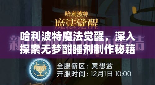 哈利波特魔法觉醒，深入探索无梦酣睡剂制作秘籍与神奇配方