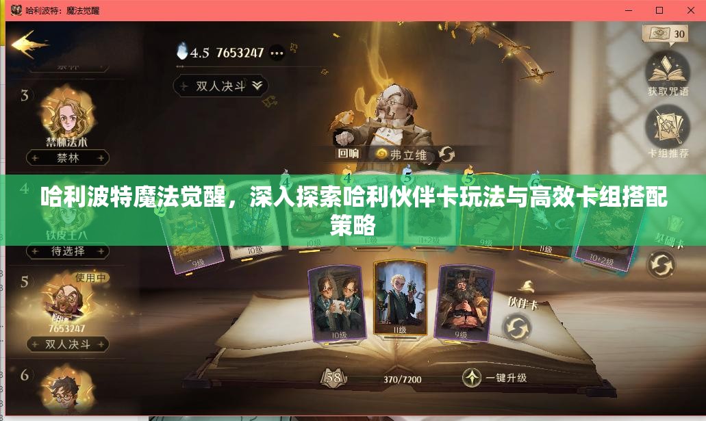哈利波特魔法觉醒，深入探索哈利伙伴卡玩法与高效卡组搭配策略