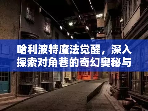 哈利波特魔法觉醒，深入探索对角巷的奇幻奥秘与高效资源管理艺术