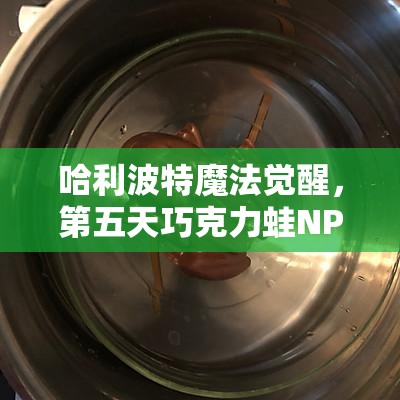 哈利波特魔法觉醒，第五天巧克力蛙NPC位置揭秘与高效资源管理策略