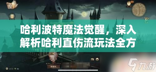 哈利波特魔法觉醒，深入解析哈利直伤流玩法全方位攻略