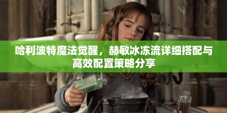 哈利波特魔法觉醒，赫敏冰冻流详细搭配与高效配置策略分享