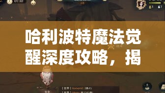 哈利波特魔法觉醒深度攻略，揭秘加隆窃贼副本高效通关秘籍与技巧