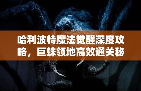 哈利波特魔法觉醒深度攻略，巨蛛领地高效通关秘籍全解析