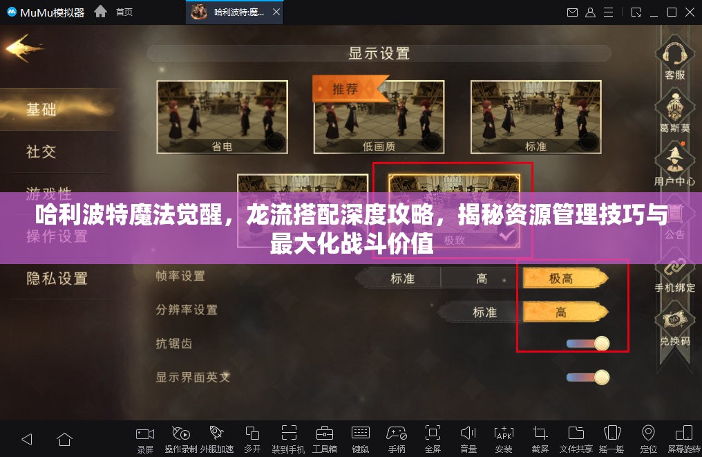 哈利波特魔法觉醒，龙流搭配深度攻略，揭秘资源管理技巧与最大化战斗价值