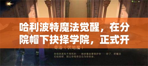 哈利波特魔法觉醒，在分院帽下抉择学院，正式开启你的个性化魔法之旅