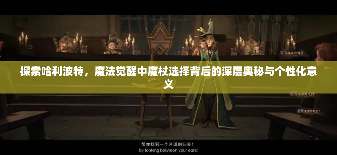 探索哈利波特，魔法觉醒中魔杖选择背后的深层奥秘与个性化意义