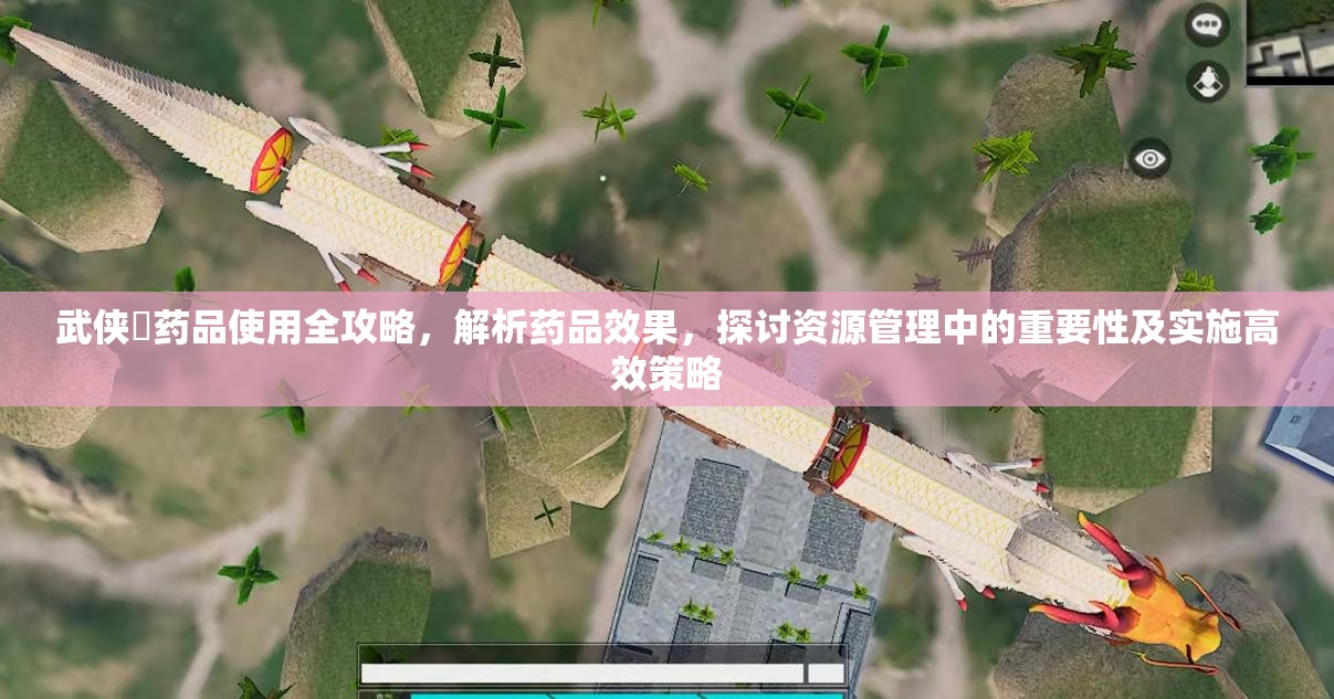 武侠乂药品使用全攻略，解析药品效果，探讨资源管理中的重要性及实施高效策略