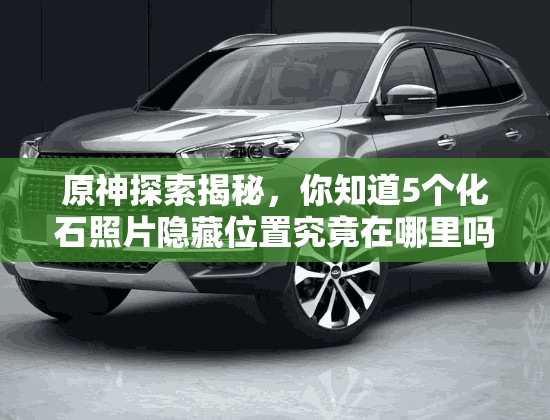 原神探索揭秘，你知道5个化石照片隐藏位置究竟在哪里吗？