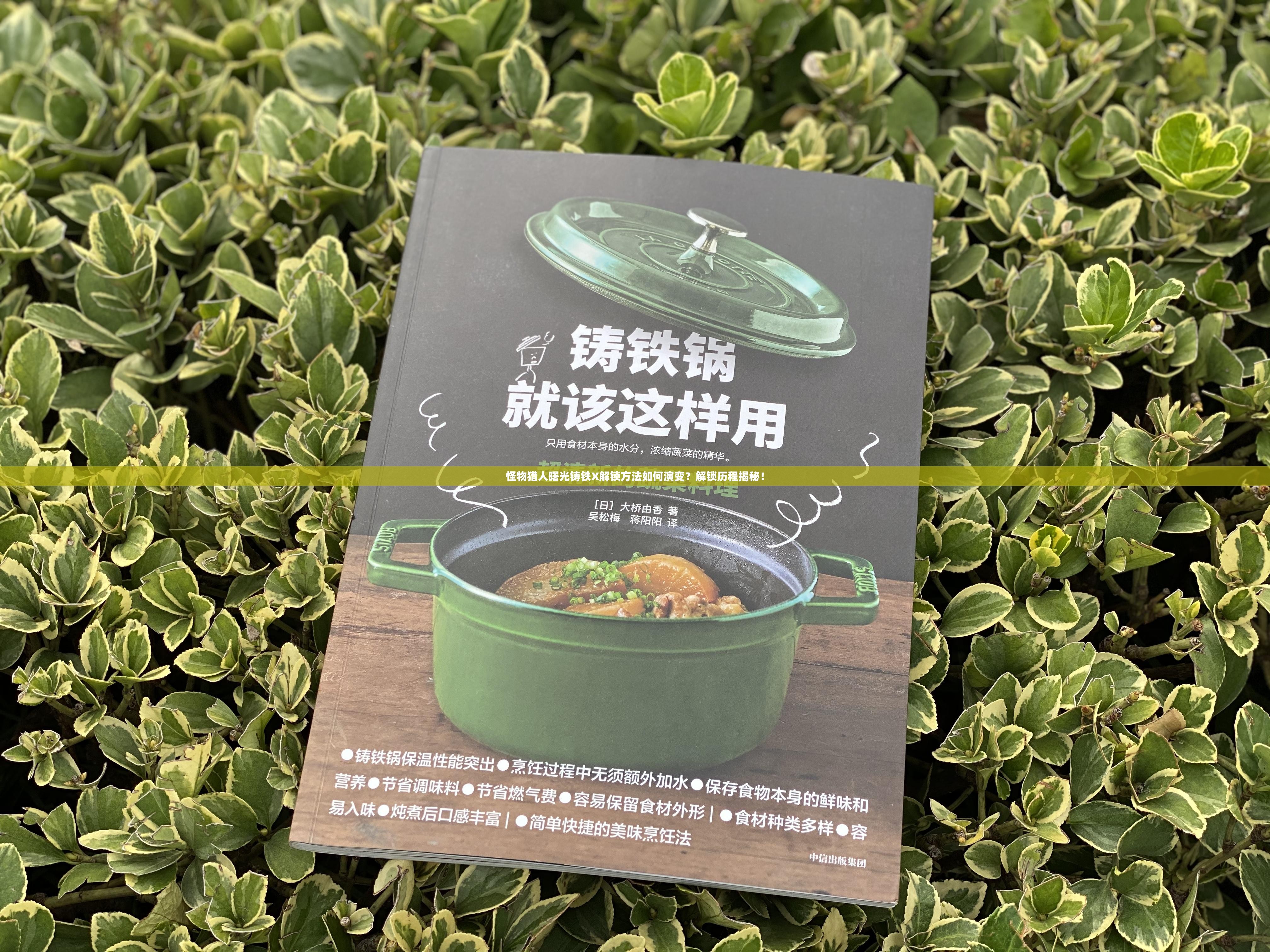 怪物猎人曙光铸铁X解锁方法如何演变？解锁历程揭秘！