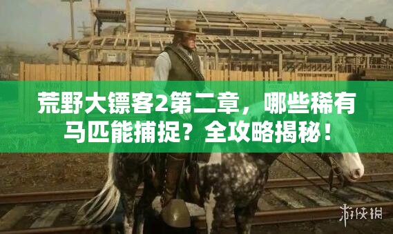 荒野大镖客2第二章，哪些稀有马匹能捕捉？全攻略揭秘！