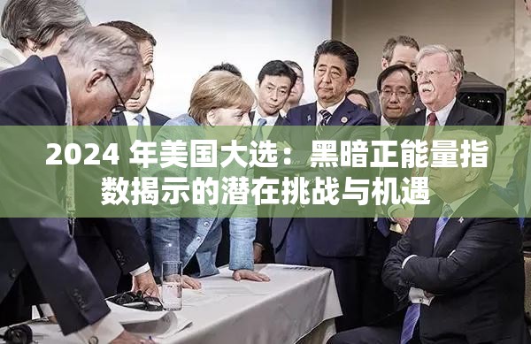 2024 年美国大选：黑暗正能量指数揭示的潜在挑战与机遇