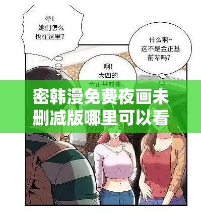 密韩漫免费夜画未删减版哪里可以看？探寻其精彩内容与获取途径