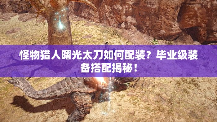 怪物猎人曙光太刀如何配装？毕业级装备搭配揭秘！
