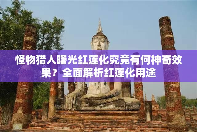 怪物猎人曙光红莲化究竟有何神奇效果？全面解析红莲化用途