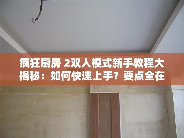 疯狂厨房 2双人模式新手教程大揭秘：如何快速上手？要点全在这里