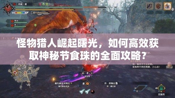 怪物猎人崛起曙光，如何高效获取神秘节食珠的全面攻略？